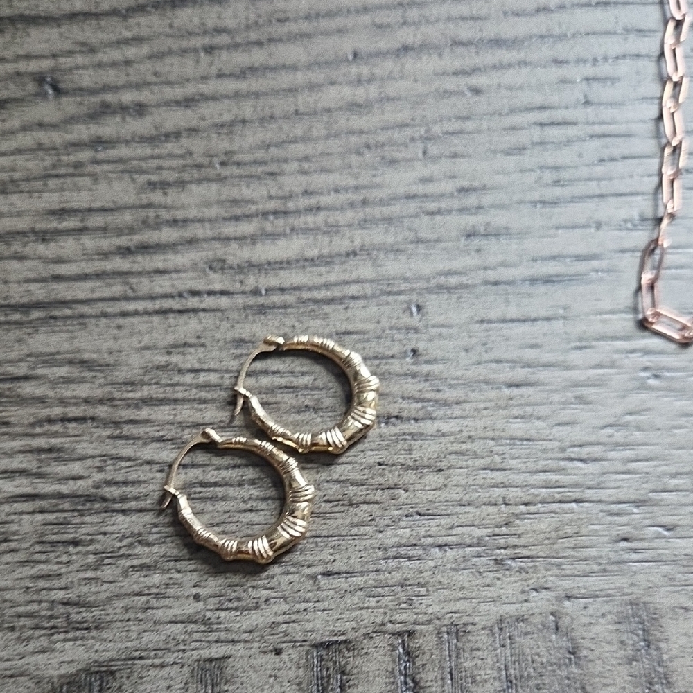 Elegant Gold Hoop Earrings